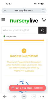 Aanchal Singh review photo