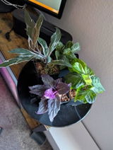 Etsy customer review photo