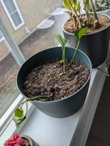 Mandi Atkinson review photo
