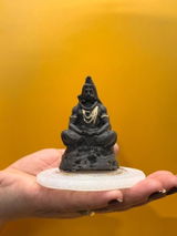 Rohan Mehta review photo