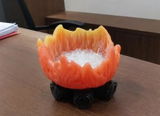 Vinay Chopra review photo