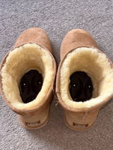 GANY review photo
