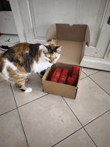 Elodie S. review photo