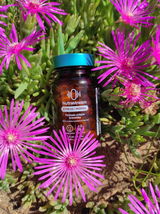 jocelyne r. review photo