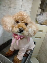あ. review photo