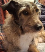 Maggie review photo