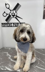 Sharon Watling review photo