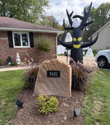 Diane S, Ohio review photo