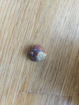 Delphine review photo