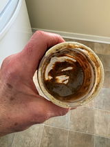 Lorinda S. review photo