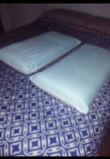 Susanna N. review photo