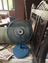 Nanki review photo