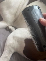 Annie review photo