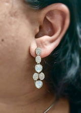 Swati Joshi review photo