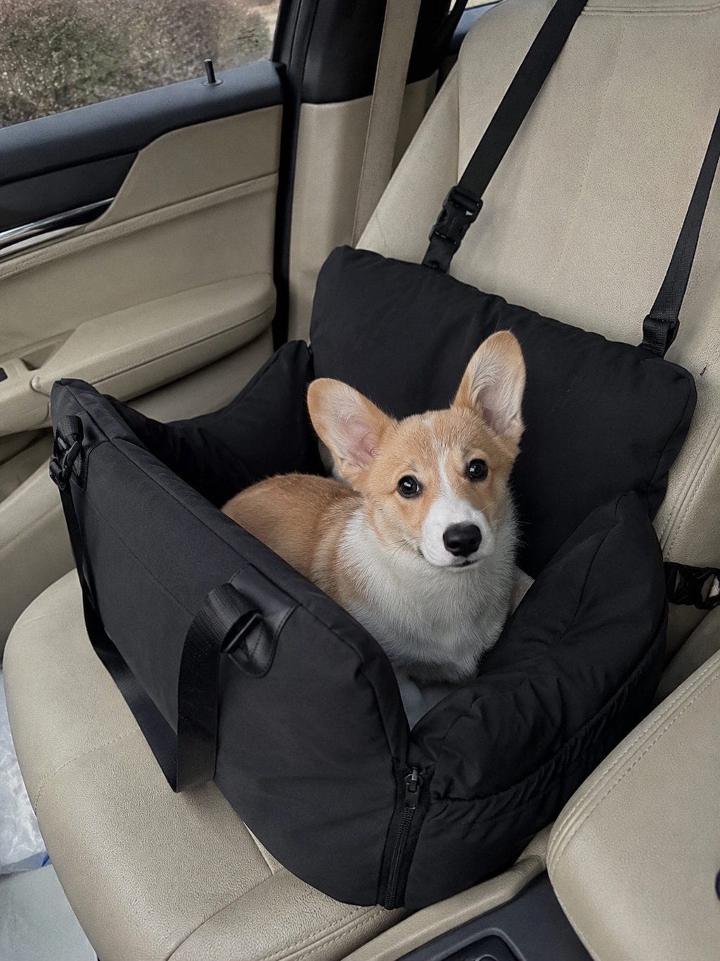Customer photo for Nuzzigo Everywhere Bed – Dog Car Seat & Travel Bed