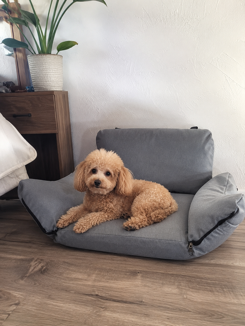 Customer photo for Nuzzigo Everywhere Bed – Dog Car Seat & Travel Bed