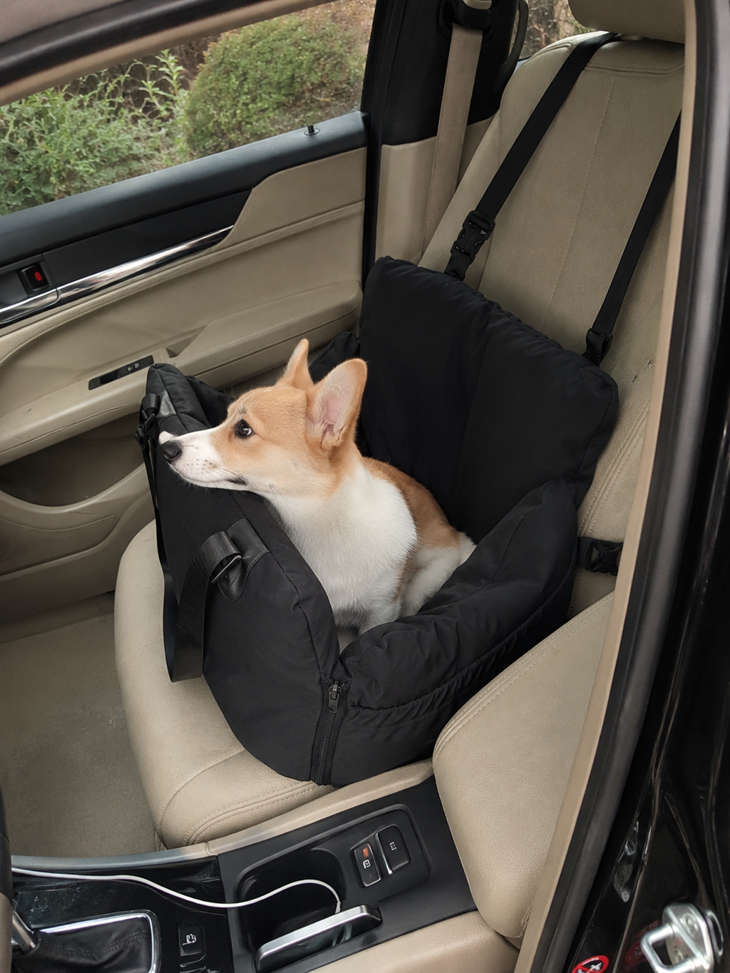 Customer photo for Nuzzigo Everywhere Bed – Dog Car Seat & Travel Bed