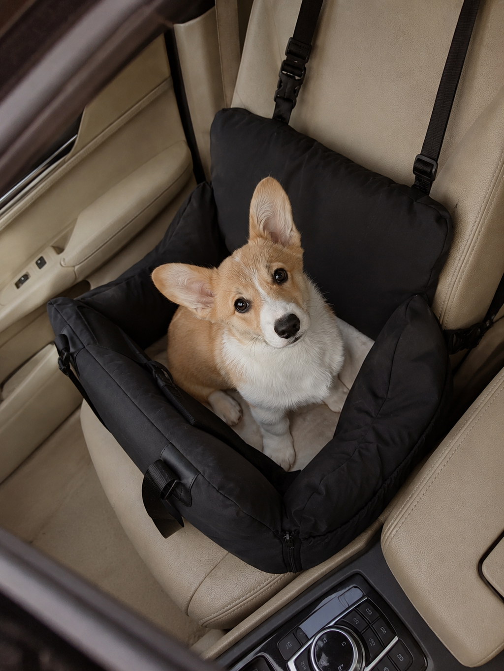 Customer photo for Nuzzigo Everywhere Bed – Dog Car Seat & Travel Bed