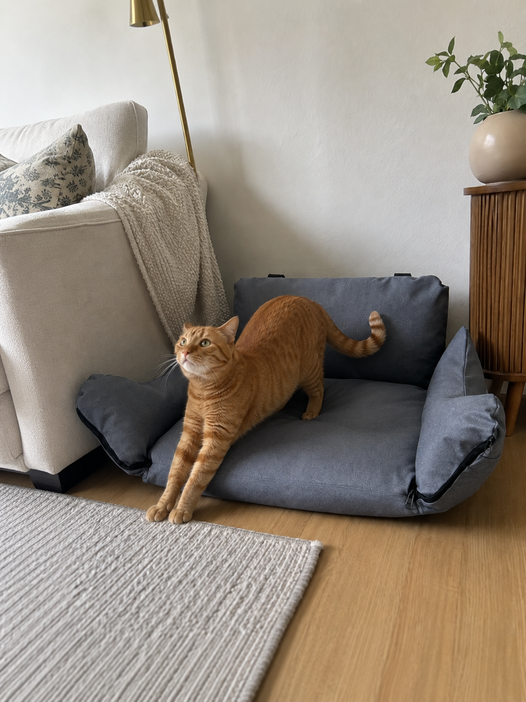 Customer photo for Nuzzigo Everywhere Bed – Dog Car Seat & Travel Bed