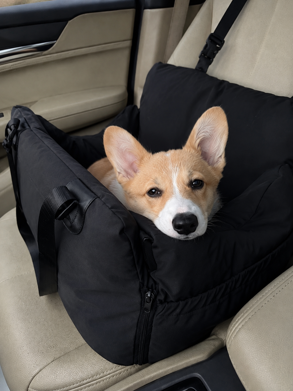 Customer photo for Nuzzigo Everywhere Bed – Dog Car Seat & Travel Bed