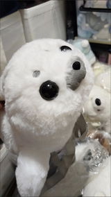 佐藤 美咲 review photo