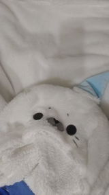 みい review photo
