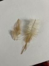 林豊 review photo