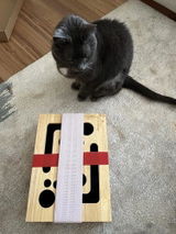 内藤雄太 review photo