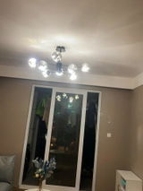Georgia review photo