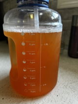 Shirley review photo