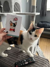Etsy customer review photo