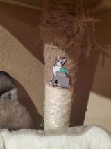 Etsy customer review photo