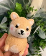 AnonymousNYC review photo