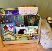 Montessori Wooden Bookshelf