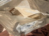 Ivy review photo