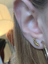 charlotte g. review photo