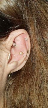 C.D. review photo
