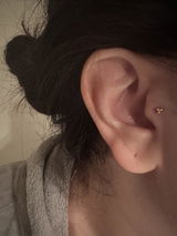 Lily95 review photo