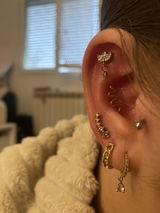 Loanne H. review photo