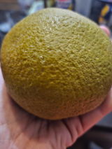 MelP review photo