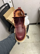 User picture
