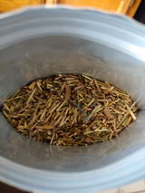 Thuy R. review photo