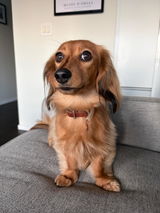 Cassie review photo