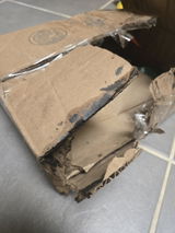 Zoraya review photo