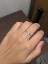 Camick review photo