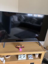 Sharon S. review photo