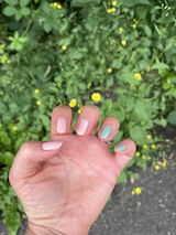 Cici review photo