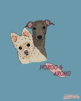 Noroo m. review photo