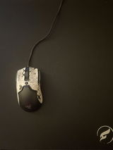Kelvin N. review photo