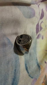 David B. review photo